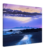 1058b3c8-a8a2-4cce-91ce-ee2e2eca2d7c