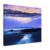 132d2d07-5d88-4876-bd89-69cca8e4ad47