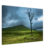 1a4c226d-67e3-413e-8ea1-bd59015ada0c