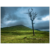 50c9f66b-f5de-40c0-a898-0f1eed2596ca