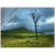 6dcce719-03f2-4e11-bb2f-f184cdfbdf02