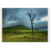 6e02601b-6037-42db-9078-0e6e54ca4681