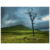 ac1d68cf-3515-4df0-9e2c-480071053189