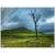 ae6adabf-d5f0-4726-9bf3-52c9e51d470c