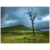 c9879c9c-3c11-4f1e-9997-2d9211dc1916