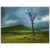 ee492794-3459-4816-91d4-2b8dc270866e