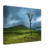 fb347917-e8b3-40a7-943d-9901df0f384b